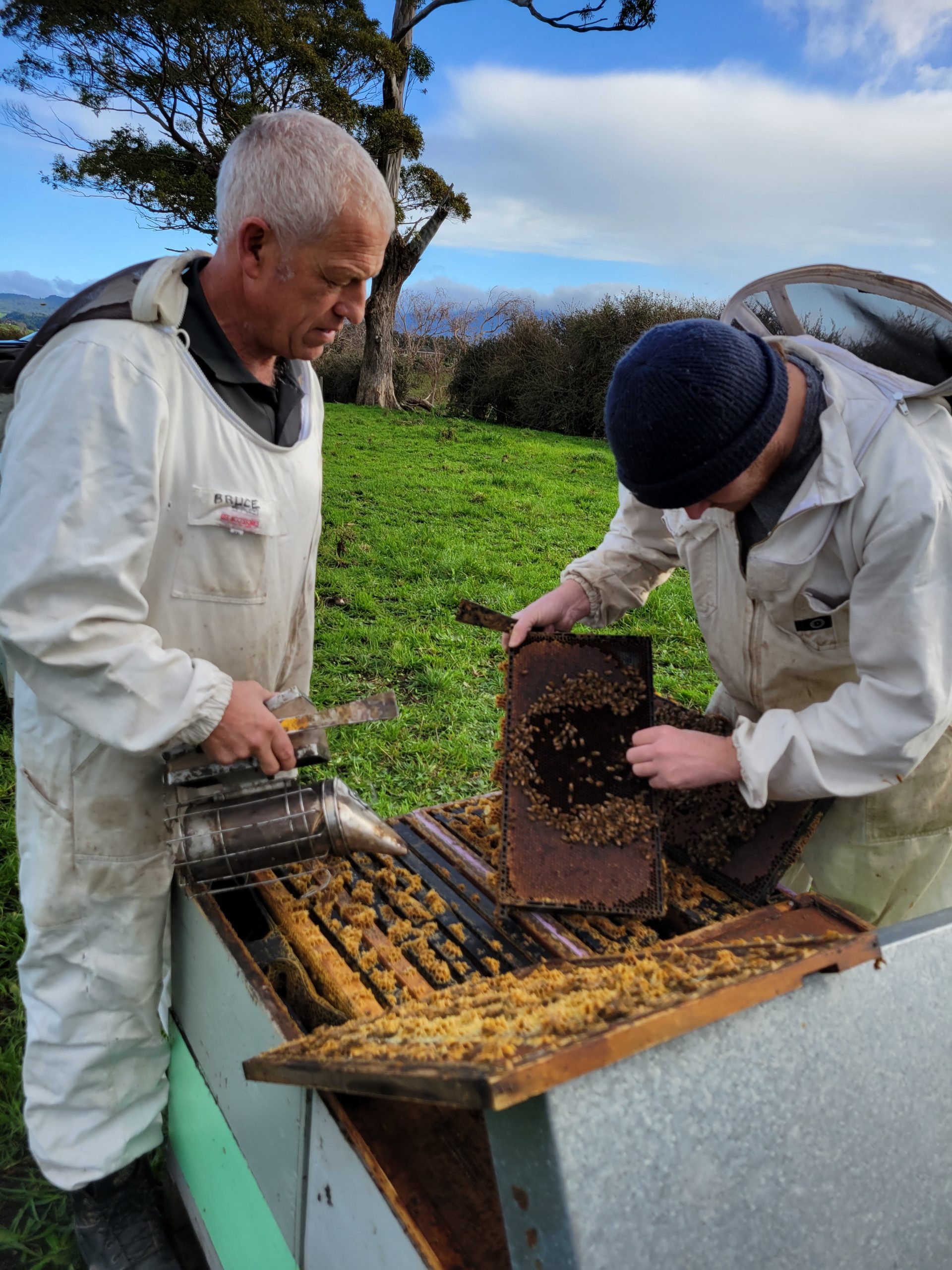 Bruce hives